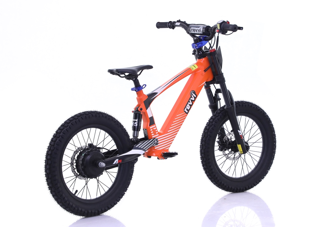 Electric bike for 8 year old hotsell